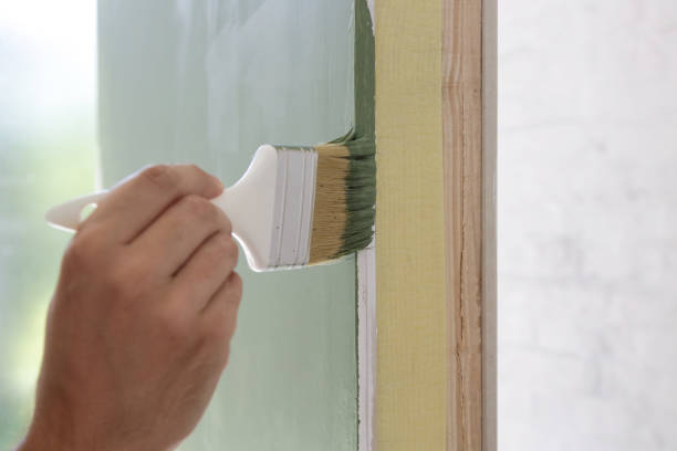 American Falls, ID Mold Removal Company