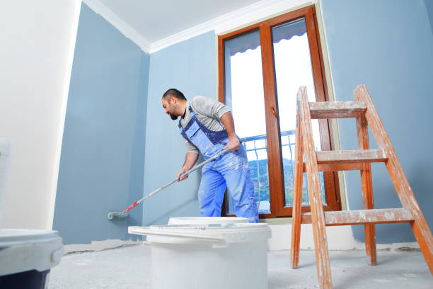 Best Black Mold Removal  in American Falls, ID