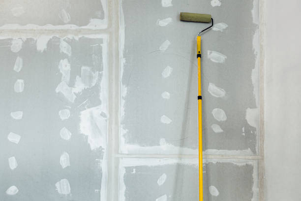 Best Comprehensive Air Testing for Mold Contaminants  in American Falls, ID