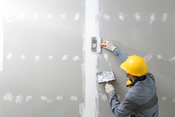 Best Basement Mold Removal  in American Falls, ID