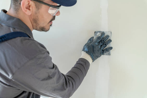 Best Water Damage & Mold Remediation  in American Falls, ID
