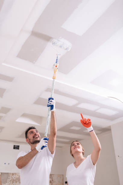 Best Mold Remediation for Rental Properties  in American Falls, ID