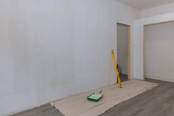 Best Mold Damage Restoration  in American Falls, ID