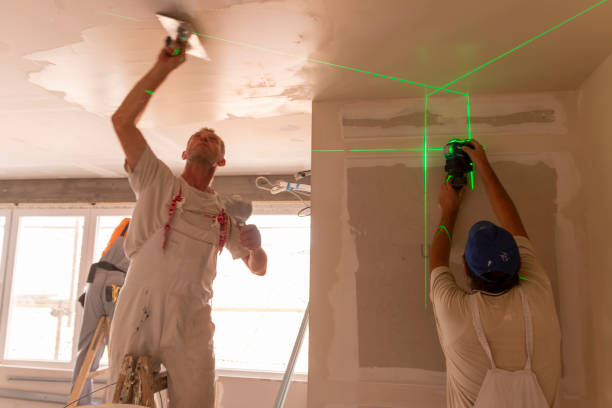 Best Asbestos and Lead Testing During Mold Inspection  in American Falls, ID