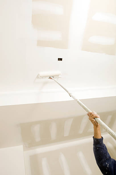 Best Mold Remediation for Healthcare Facilities  in American Falls, ID