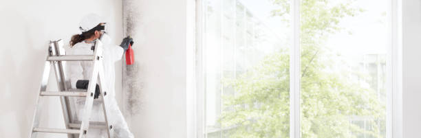 Best Biohazard Mold Removal  in American Falls, ID