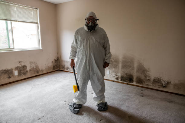 Mold Documentation for Insurance Claims in American Falls, ID