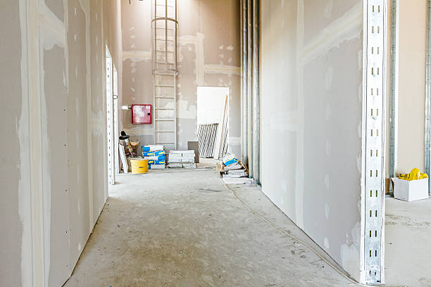 Best Environmental Consulting for Mold Prevention  in American Falls, ID
