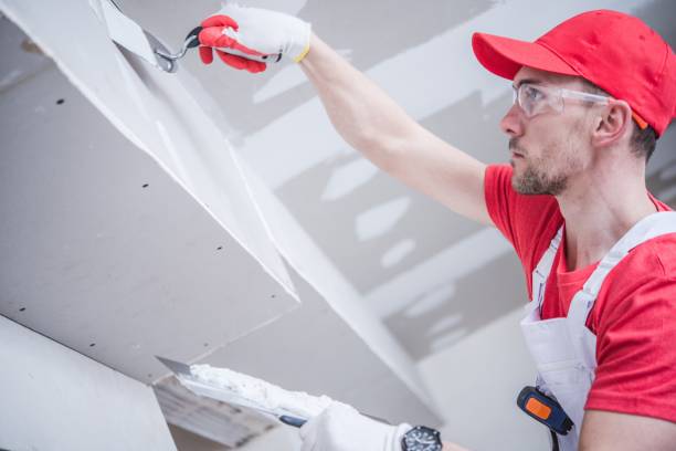 Best Environmental Consulting for Mold Prevention  in American Falls, ID