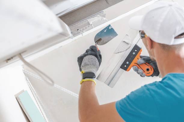 Best Commercial Mold Inspection  in American Falls, ID